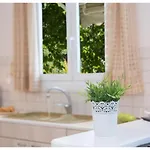 Aelia House - Elia Holiday home Agios Ioannis (Lefkada)