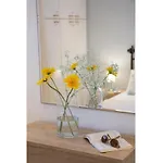 Aelia House - Elia Agios Ioannis (Lefkada)