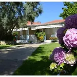 Casa vacanze Aelia House - Elia Agios Ioannis (Lefkada)