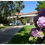 Casa vacanze Aelia House - Elia Agios Ioannis (Lefkada)